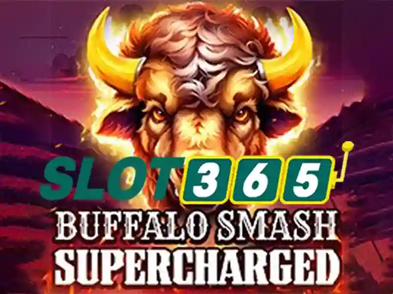 Slot365: Đánh giá nền tảng máy slot trực tuyến nổi bật
