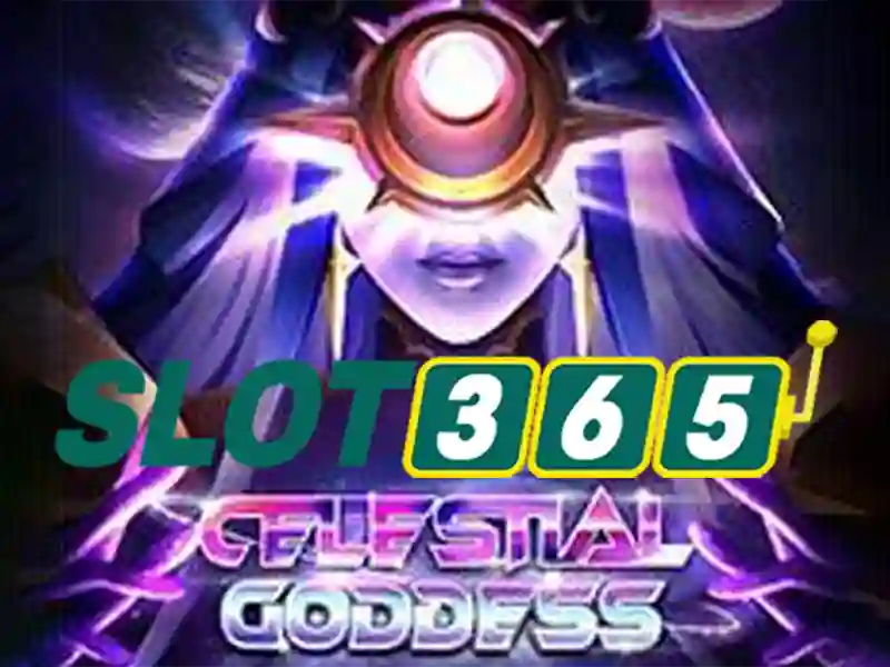 Slot365: Nền tảng cá cược trực tuyến hàng đầu