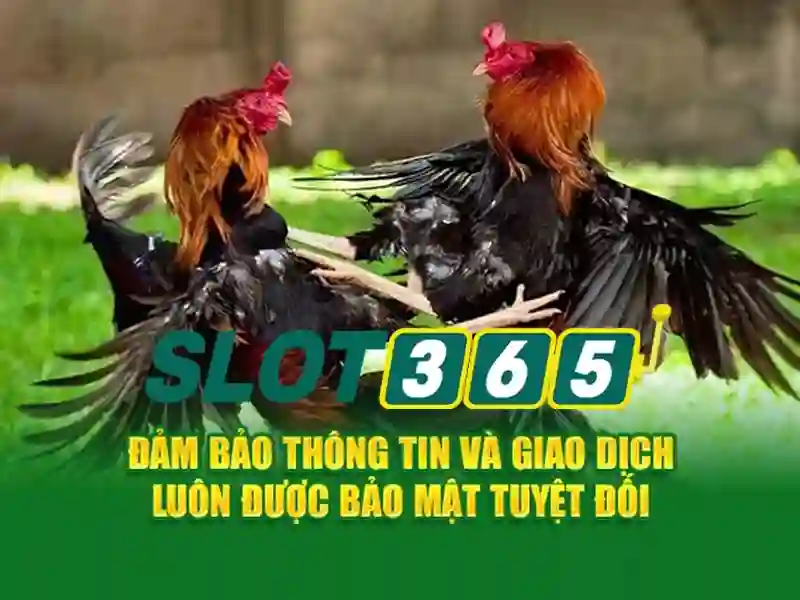 An toàn và thanh toán