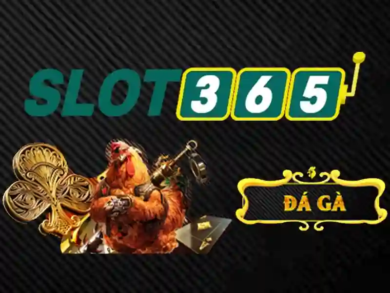 slot365 com – Tổng quan chủ đề và giá trị cốt lõi