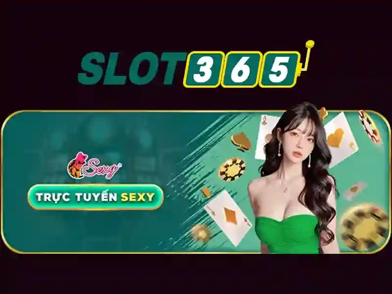 Quy định về tính chính xác thông tin tại Slot365