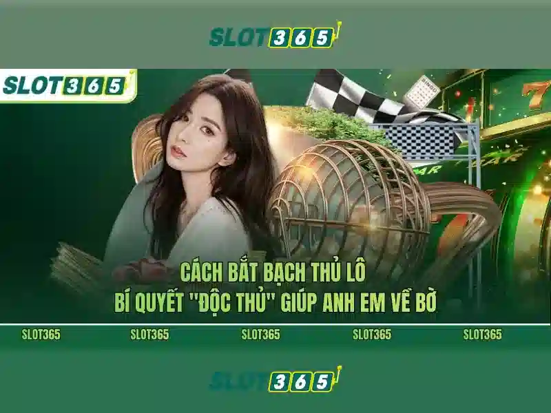 Kết luận về Slot365 và lợi ích cho người chơi