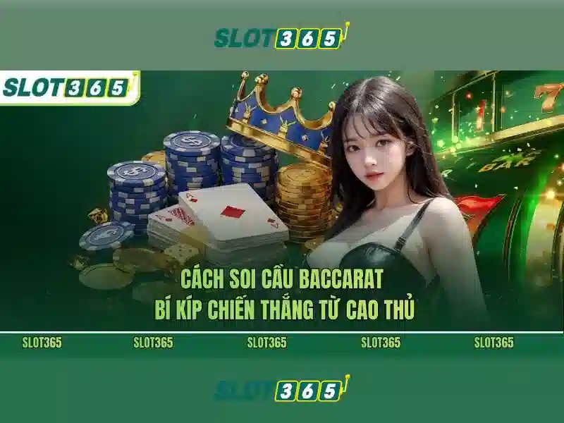 Tổng quan slot365 bet – Tổng quan và giá trị cốt lõi
