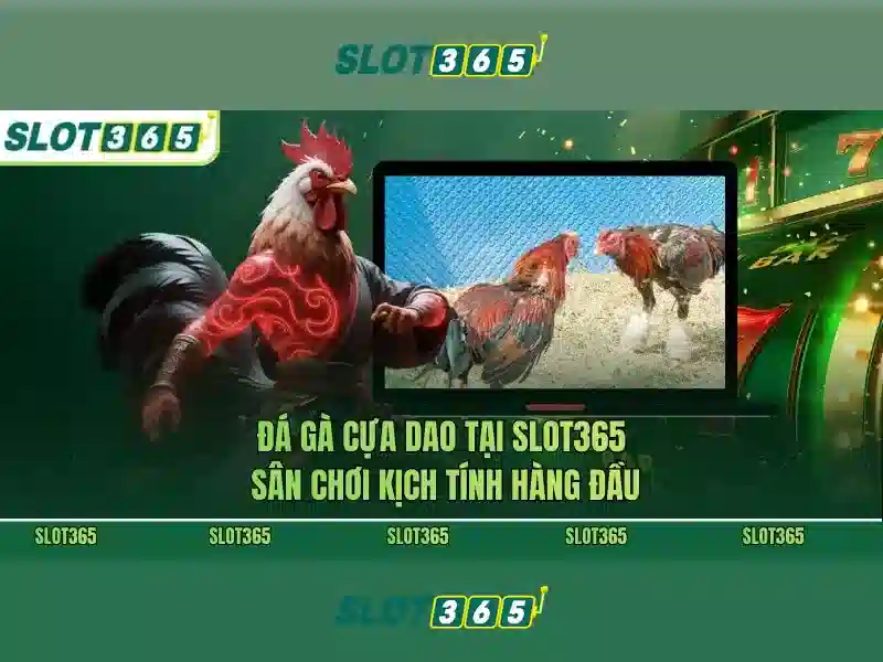Slot365 - Tổng quan về nền tảng