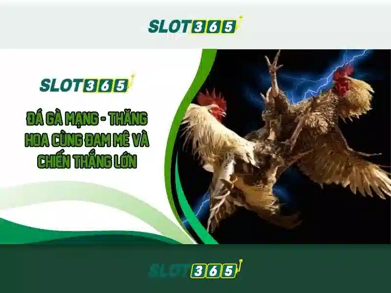 Slot365: Đánh giá nền tảng trò chơi slot trực tuyến