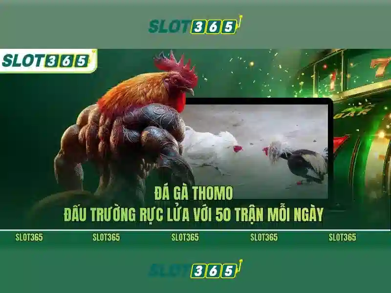 Slot365 là nền tảng chơi slot online đáng chú ý
