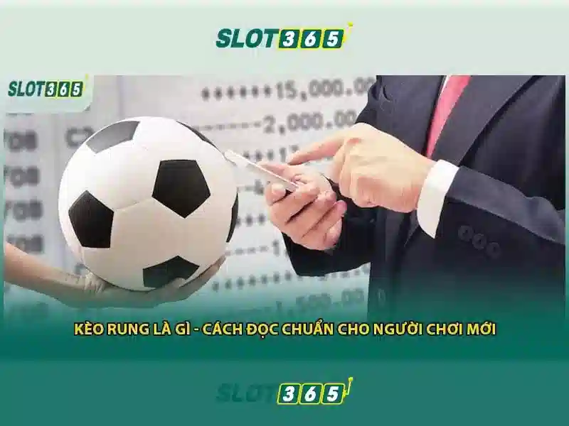 Hỗ trợ thanh toán và chăm sóc khách hàng