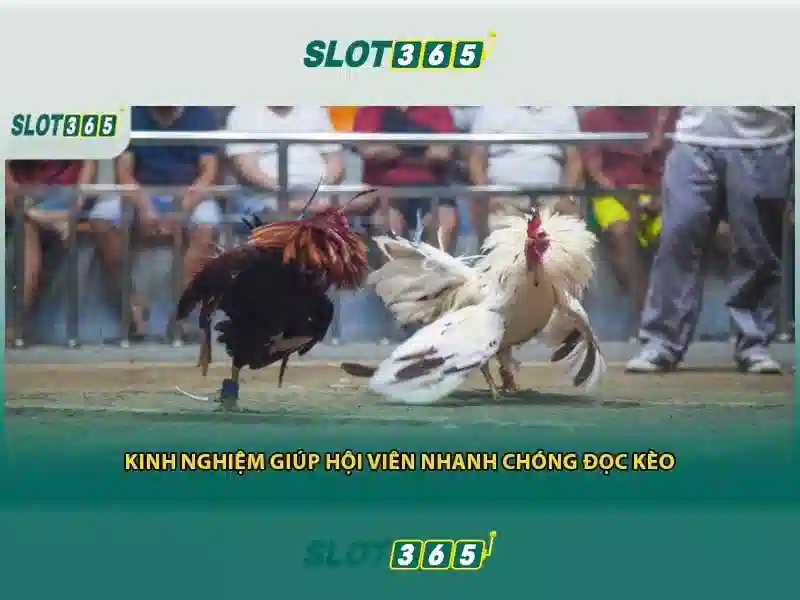 Trò chơi và cách chơi