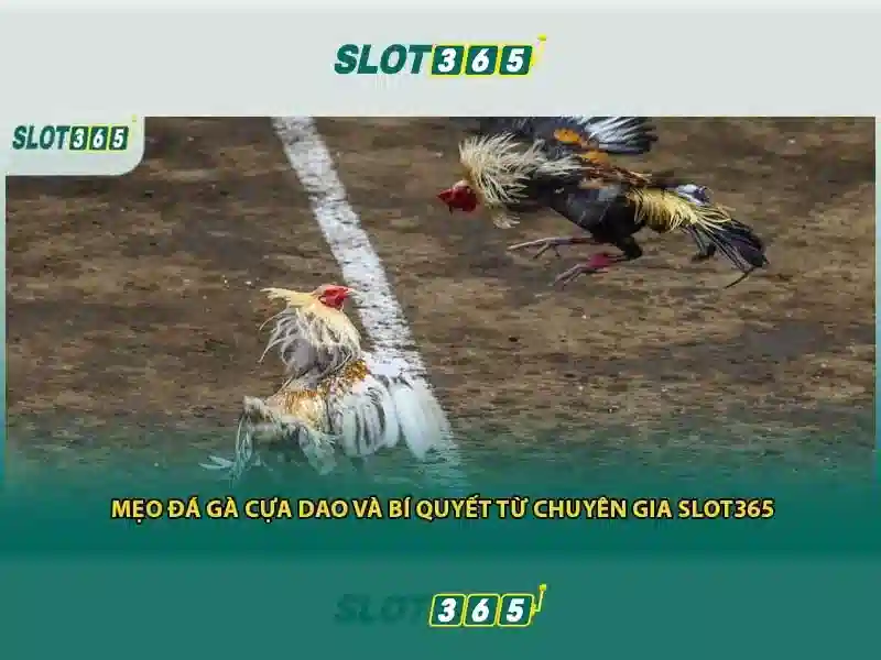 Mẹo chơi bắn cá 3 cây dễ ăn tiền nhà cái