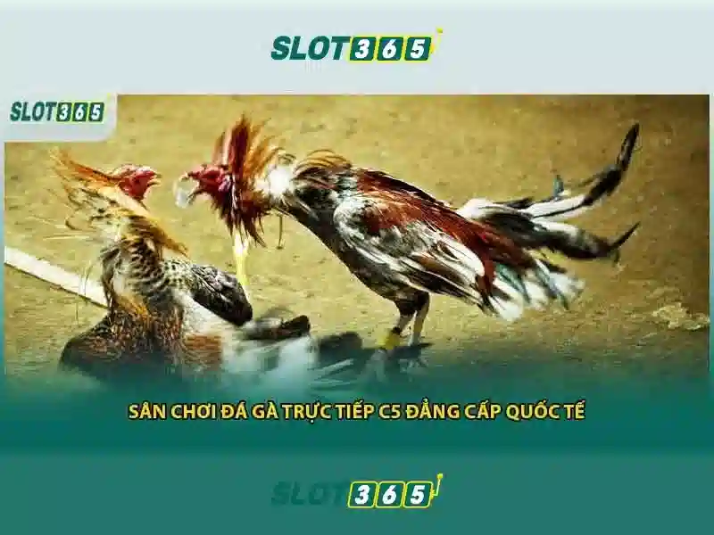 Trò chơi phổ biến nhất