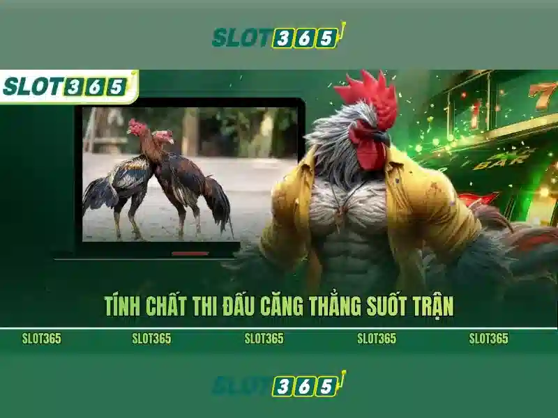 Tương lai và tầm nhìn của slot365 link alternatif
