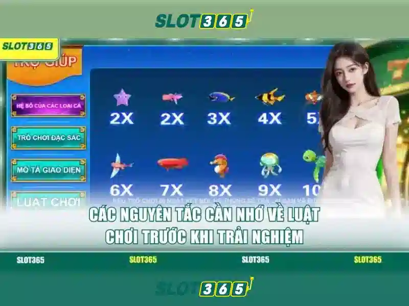 Khuyến mãi và chương trình thưởng