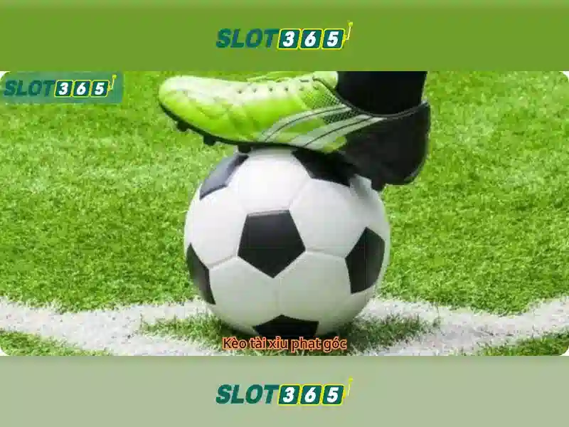 Các sản phẩm và dịch vụ cốt lõi của slot365 slot: ứng dụng thực tế