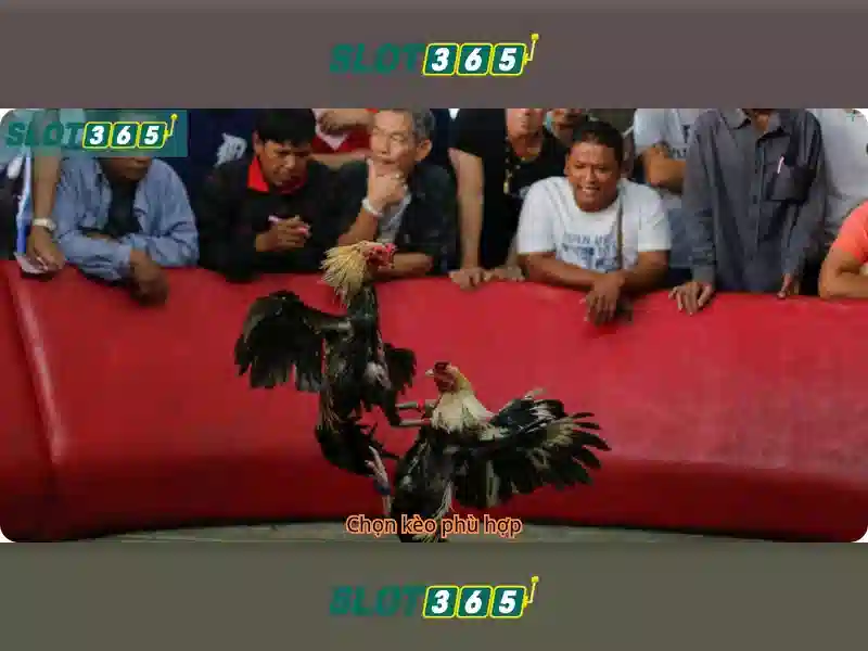 Sản phẩm và dịch vụ cốt lõi của Slot365 free