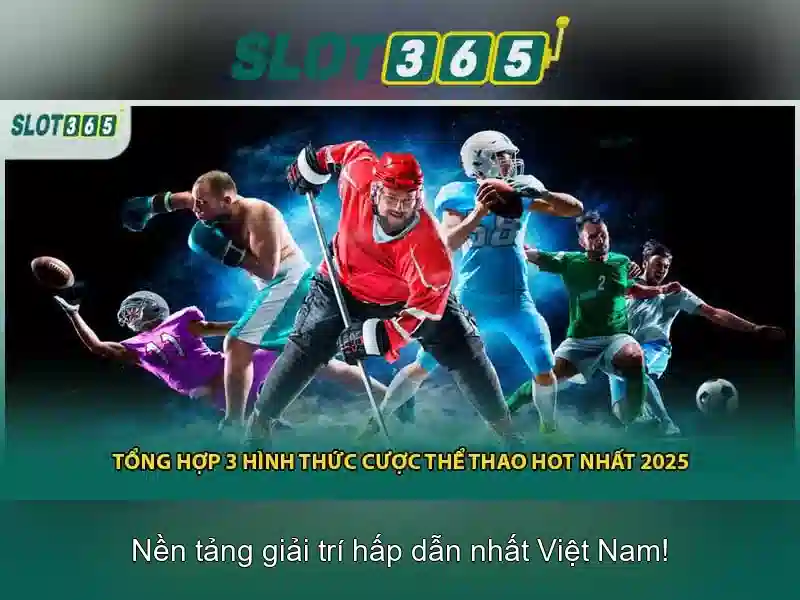 Giao diện người dùng và trải nghiệm di động