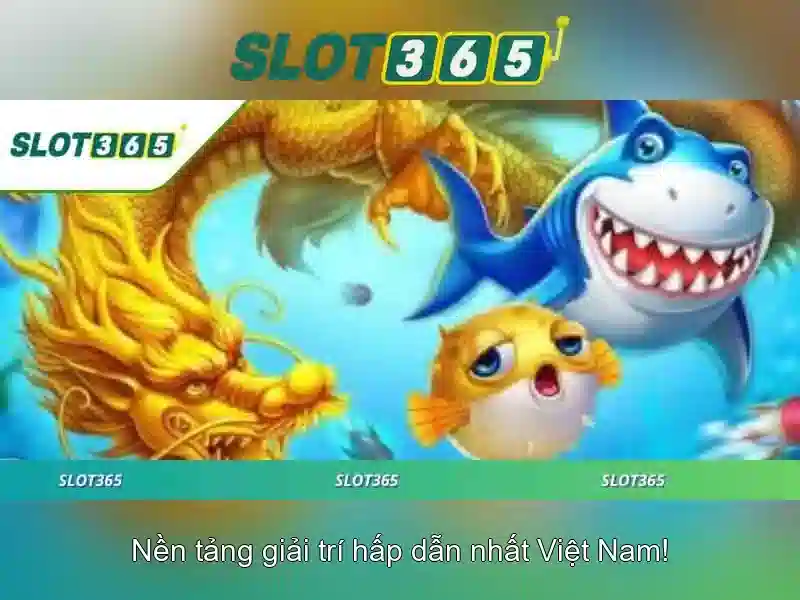 Slot365 - Tổng quan về nhà cái trực tuyến