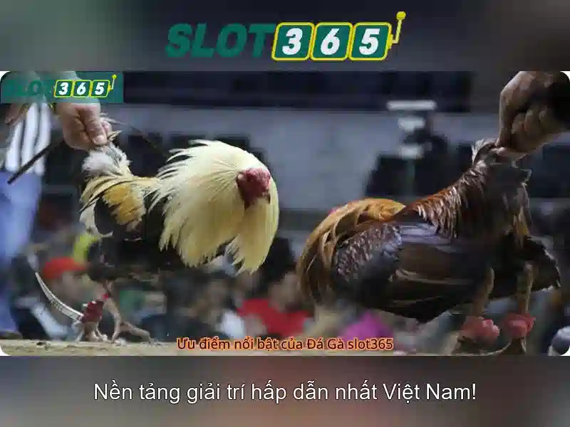 Hỗ trợ khách hàng