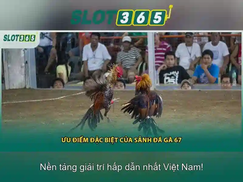 Slot365 là gì?