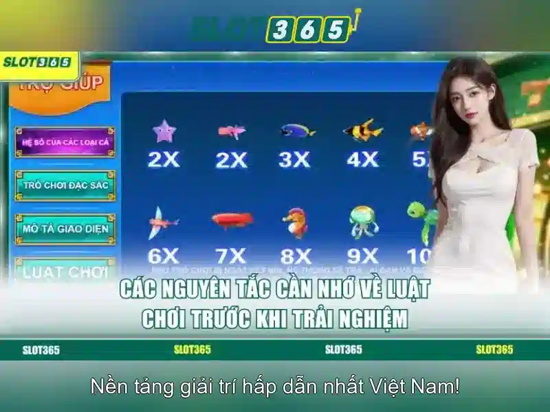 Khuyến mãi và chương trình thưởng\n\n<h2 class=