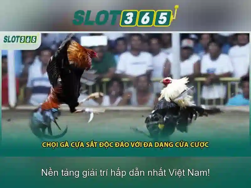 Nguồn gốc và sứ mệnh của slot365 login link