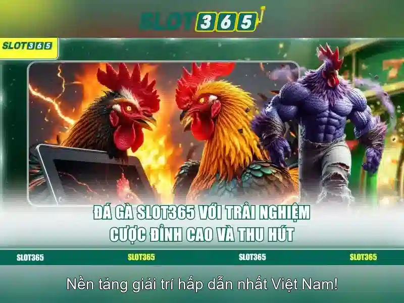 Slot365 là gì? Khám phá nền tảng slot trực tuyến