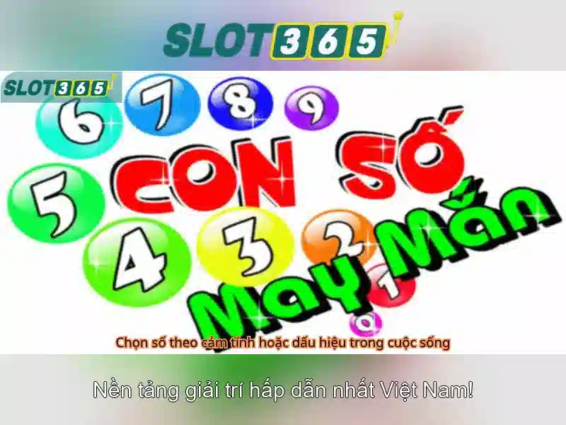 Trò chơi và nhà cung cấp