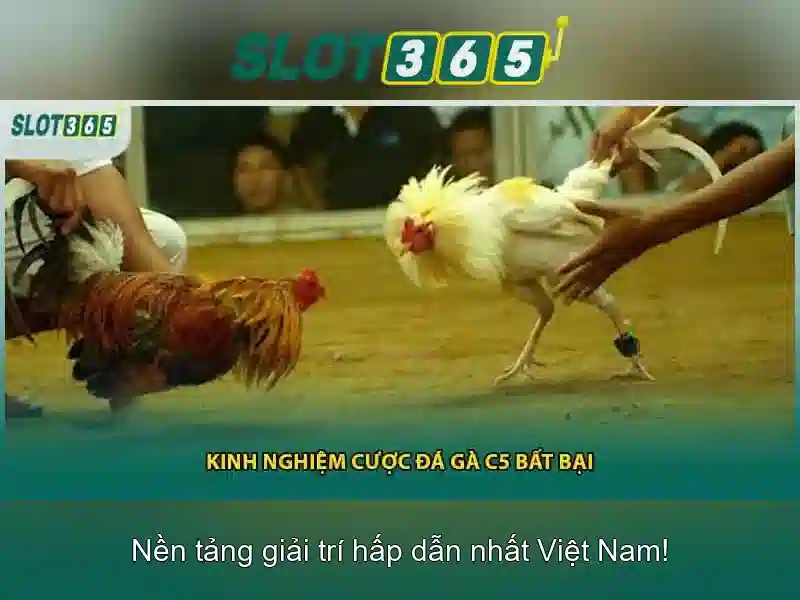 Khuyến mãi và chương trình thưởng <p><span style=