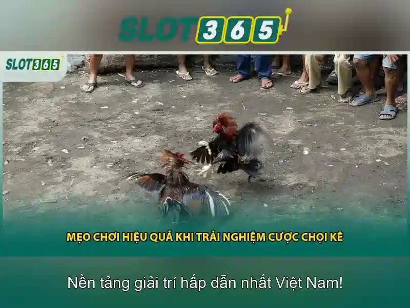 Slot365 slot: trải nghiệm đỉnh cao và liên kết Slot365