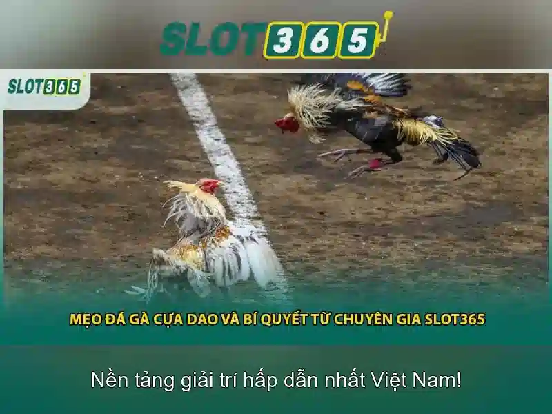 Mẹo chơi bắn cá 3 cây dễ ăn tiền nhà cái