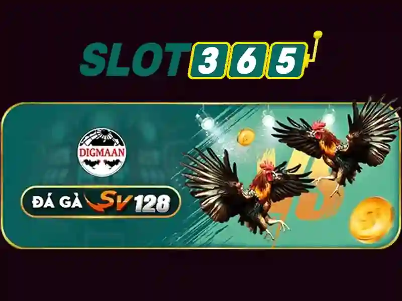 Slot365 app – trải nghiệm đỉnh cao và câu chuyện thương hiệu