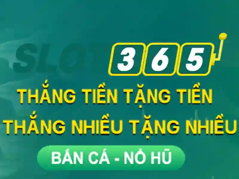 Trải nghiệm người chơi với slot365\n<p><span style=