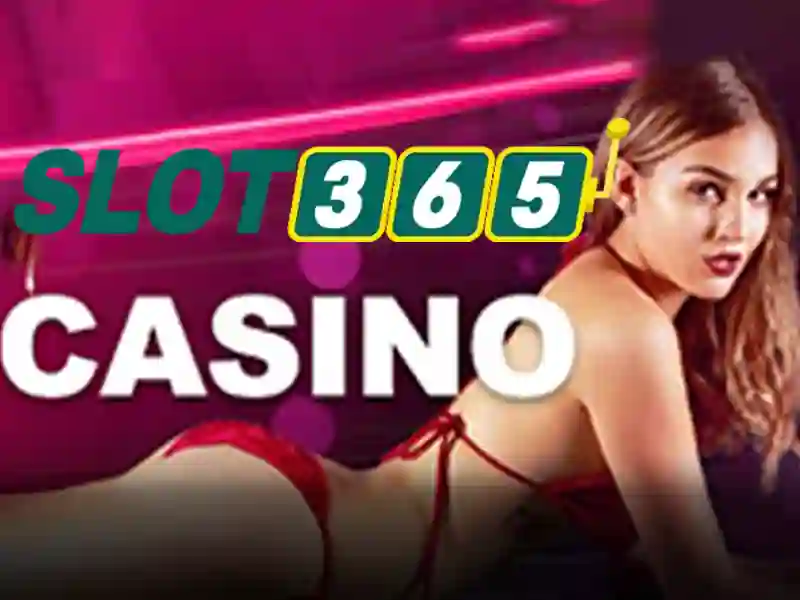 slot365. – Trải nghiệm người dùng và phản hồi cộng đồng