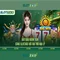 Slot365: Đánh giá và khám phá nền công nghiệp trò chơi slots trực tuyến