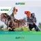 Slot365 - Trải nghiệm chơi slot trực tuyến an toàn và tiện lợi
