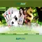 Slot365: Trải nghiệm casino trực tuyến uy tín và hấp dẫn