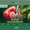 Slot365: Nền tảng slot trực tuyến an toàn và thú vị