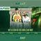 Slot365 - Nền tảng slot trực tuyến uy tín