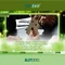 Slot365: Nền tảng slot trực tuyến và trải nghiệm người chơi