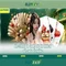 Slot365 - Tổng quan về nhà cái trực tuyến