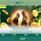 Slot365 - Nền tảng slot trực tuyến hàng đầu cho người yêu trò chơi