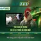 Slot365: Trải nghiệm khe xèng trực tuyến tuyệt vời