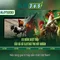 Slot365: Tổng quan và Trải nghiệm trò chơi
