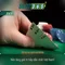 Slot365 – Nền tảng chơi slot trực tuyến