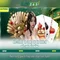 Slot365: Đánh giá và khám phá nền công nghiệp trò chơi slots trực tuyến
