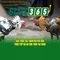 Slot365: Trải nghiệm chơi slot trực tuyến an toàn và hấp dẫn