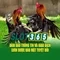 Slot365: Nền tảng slot trực tuyến hàng đầu tại Việt Nam