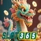 slot365 – Khám phá thương hiệu và trải nghiệm slot365 đỉnh cao