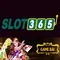 link dự phòng Slot365 – Giải pháp an toàn cho cược