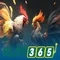 Slot365: Đánh giá và trải nghiệm slot trực tuyến